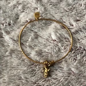 Alex and Ani bracelet
